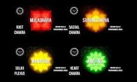 RootSacralSolarHeart1031
