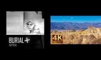 adam curtis simulator