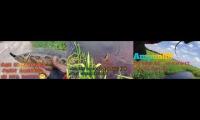 Arfins angler 22,arfins angler 22,arfins angler 22