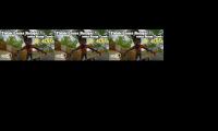 Video ksgentong ksg bandung