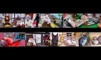 8 Major hamster and friends