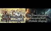 Thumbnail of die eisenfaust am lanzenschaft