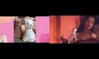 Aoooooo alpacca party time