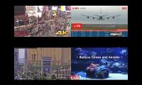 these are a bunch of live feeds I like lol enjoy
