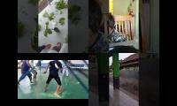 Bang Ziyad Sumbawa, Bang Ziyad Sumbawa, Bang Ziyad Sumbawa, Bang Ziyad Sumbawa