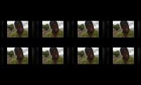 ELANG GAMING,ELANG GAMING,ELANG GAMING,ELANG GAMING,ELANG GAMING,ELANG GAMING,ELANG GAMING