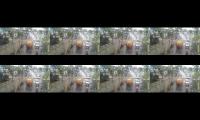 CABIN VIEW KA BIAS Part 1 - Solo Balapan - Kadipiro
