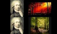 vivaldi  four  seasons at once