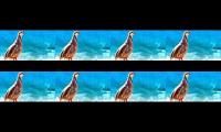 Relaxing bird sounds