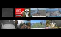 birdsnestinglivestream22