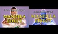The Mandela Effect - Extended Universe