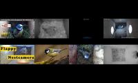 birdsnestinglivestream13