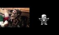 Spooky the skeleton dances