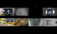 birdsnestinglivestream13