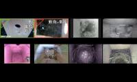 birdsnestinglivestream31