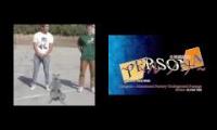 wtf is this real?? cat can groove