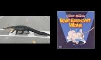 Alligator Walk with music
