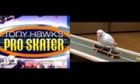 Skateboarding Bird PROFESSIONAL