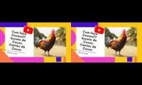 Cum face Cocosul Sunete de Cocos si Cantec de Cocos