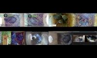 birdsnestinglivestream1