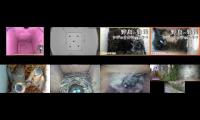 birdsnestinglivestream31