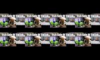 Fish side of tiktok part one