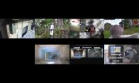 birdsnestinglivestream42