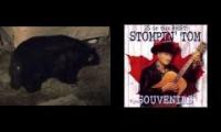 Sudbury Saturday NIght, Now With Bears