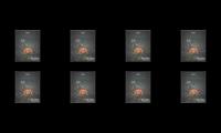 Best mood feel whatsapp status