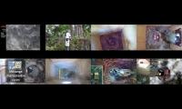birdsnestinglivestream42