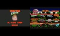 THE THRILLA GORILLA THE PRIME PRIMATE THE KING OF DK ISLAND: DONKEY KONG PART 18