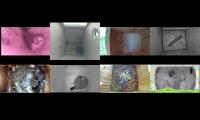birdsnestinglivestream28