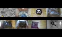 birdsnestinglivestream10