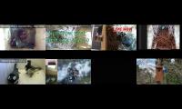 birdsnestinglivestream9