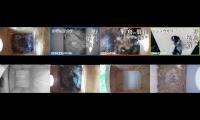 Thumbnail of birdsnestinglivestream31