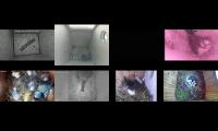 birdsnestinglivestream28