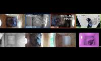 birdsnestinglivestream31
