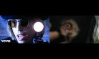 Knebel Yer So Bad Lindemann Tom Petty