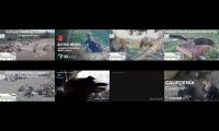 birdsnestinglivestream34