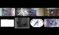 birdsnestinglivestream10