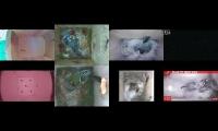 birdsnestinglivestream35