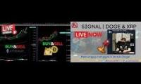 Dogecoin live signals