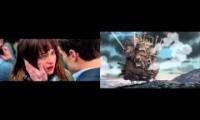 50 shades of howl merry go round of grey