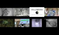 birdsnestinglivestream55