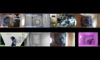 birdsnestinglivestream31