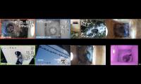 birdsnestinglivestream31