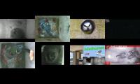 birdsnestinglivestream35