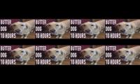 dog with the butter butter dog