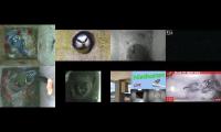 birdsnestinglivestream35
