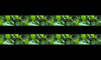 Relaxation with gamelan java music